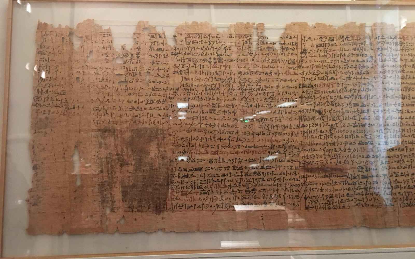 Greco-Egyptian parchment
